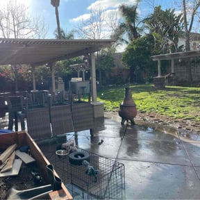 Cleanups by R&L Regal Lawn Care reviewed on July 14, 2022