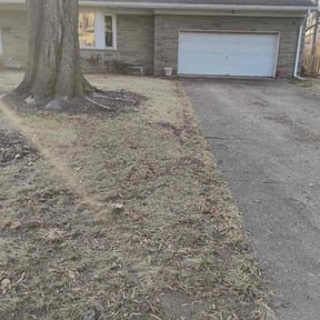 Leaf Removal by DC Painters and More reviewed on June 14, 2022