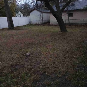 Leaf Removal by 100% Landcare reviewed on March 28, 2025