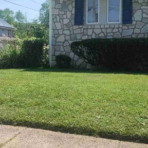 Bush Trimming by Slaughter Lawn Care reviewed on June 1, 2022
