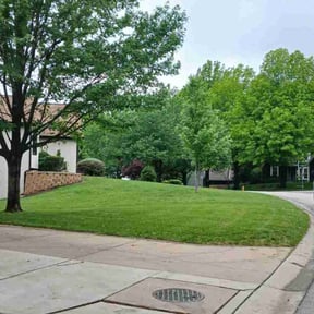 Landscaping by Groves Lawn Care reviewed on July 30, 2022