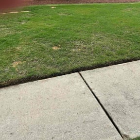 Leaf Removal by Dallas Enterprise LLC Lawn Care Services reviewed on July 15, 2022