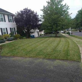 Bush Trimming by Mauler Mowing LLC reviewed on May 17, 2022