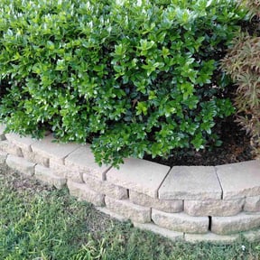 Flower Bed Weeding by Jack Of All Trades Landscape &amp; More/Property Preservationist reviewed on April 4, 2025