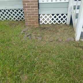 Flower Bed Weeding by MartÃnez landscaping reviewed on September 14, 2024