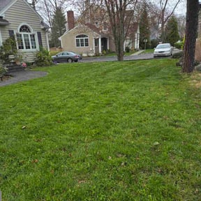 Leaf Removal by Maiocco's Lawn Care reviewed on July 3, 2022