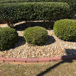 Flower Bed Weeding by IGM Lawn Care &amp; Landscape reviewed on June 25, 2025
