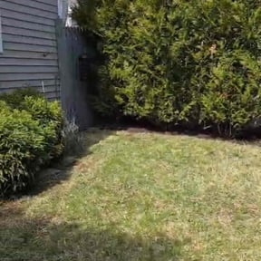 Cleanups by Pristine touch/landscaping reviewed on November 19, 2021