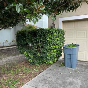Bush Trimming by Efrain Marrero reviewed on July 12, 2022