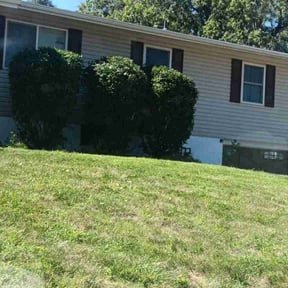 Bush Trimming by A Cut Above Landscaping & Lawn LLC reviewed on July 10, 2022