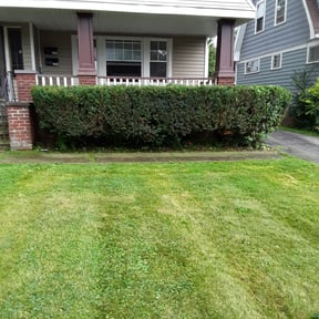 Bush Trimming by VSL Lawn Service reviewed on May 13, 2022