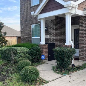 Bush Trimming by DC Painters and More reviewed on July 18, 2022