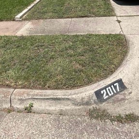 Cleanups by Wallace The Lawn Guy reviewed on March 4, 2022