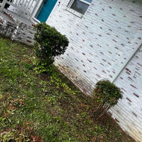 Bush Trimming by Hopper’s Landscaping reviewed on June 30, 2022