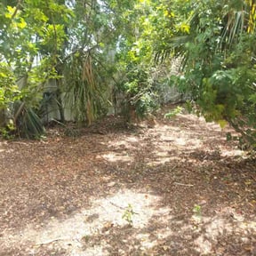 Bush Trimming by Cutting Edge Outdoor work LLC reviewed on May 10, 2022