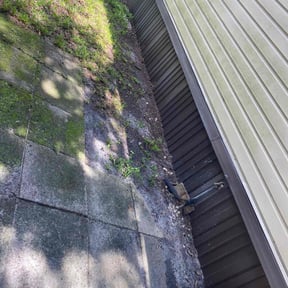 Leaf Removal by Mowtown lawn grooming reviewed on August 8, 2022