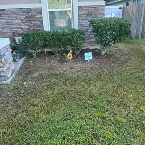 Bush Trimming by Primos Grow&Mow reviewed on December 8, 2024