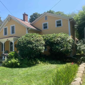 Bush Trimming by DeShawn's Lawn Care reviewed on June 16, 2022