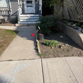 Bush Trimming by Helping Hands Landscape & Paint +more reviewed on June 28, 2022