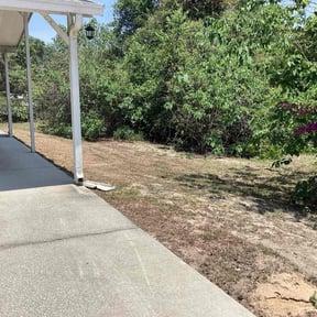 Bush Trimming by Transit LLC reviewed on July 18, 2022