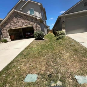 Bush Trimming by pnp concrete reviewed on July 30, 2022