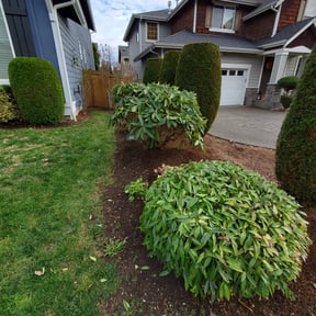 Cleanups by Cuyahoga Property Maintenance LLC reviewed on May 19, 2022