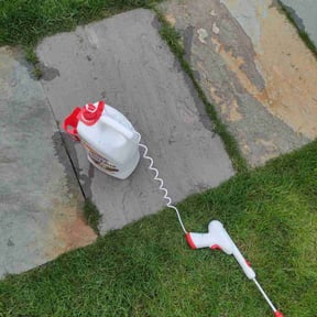Flower Bed Weeding by NRB Landscape Services reviewed on August 26, 2021