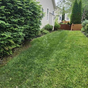 Flower Bed Weeding by Fine Line Landscaping reviewed on November 13, 2021