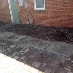 Leaf Removal by Greenworx Lawn Care reviewed on June 10, 2022