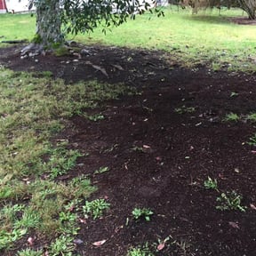Cleanups by Rios Enterprise Lawn Mowing Services LLC reviewed on July 26, 2022