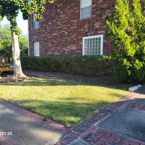 Flower Bed Weeding by Redline Property Maintenance (RPM) reviewed on July 20, 2022