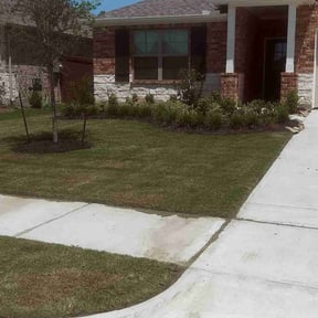 Flower Bed Weeding by Daniel campos reviewed on February 18, 2025