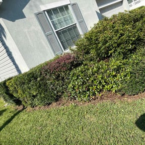 Bush Trimming by Lawns Plus Landscaping reviewed on June 13, 2022