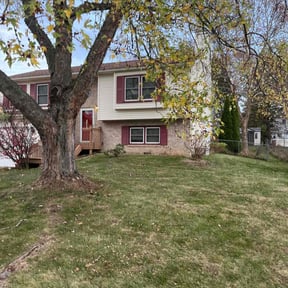 Leaf Removal by Haulin Hooligans LLC reviewed on August 13, 2025