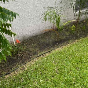 Flower Bed Weeding by Clutch lawn service inc reviewed on August 3, 2022