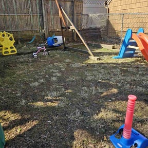Leaf Removal by Quality Lawn Care of NEPA reviewed on October 14, 2021