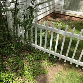 Leaf Removal by CNR Landscaping reviewed on August 24, 2024