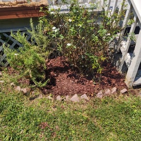 Cleanups by Lawn services JAV reviewed on November 20, 2024