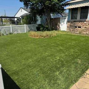 Leaf Removal by Forever Green FG LLC reviewed on August 24, 2024