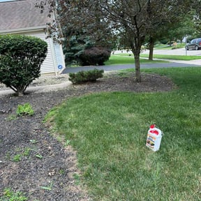 Weeding by QK landscaping reviewed on July 21, 2022