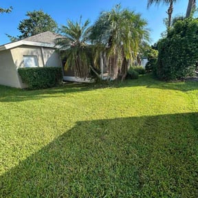 Bush Trimming by J & K Lawncare Specialist LLC reviewed on December 3, 2024