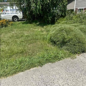 Flower Bed Weeding by Above and Beyond Services LLC. reviewed on October 13, 2021