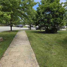 Cleanups by Forever Green Landscape reviewed on June 18, 2022