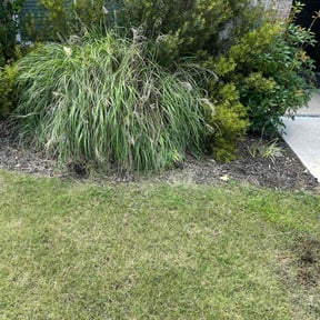 Flower Bed Weeding by Greenxblades reviewed on May 1, 2025
