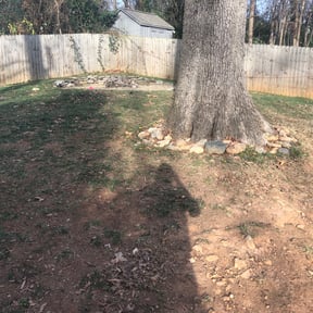 Leaf Removal by 5280 Lawns Llc reviewed on July 5, 2022