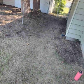 Weeding by DMC & Landscaping LLC reviewed on October 12, 2020