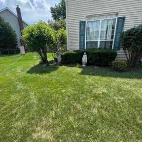 Bush Trimming by Trademark Complete Lawn Care Services reviewed on April 12, 2025