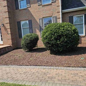 Bush Trimming by Discount Mowing reviewed on July 19, 2025