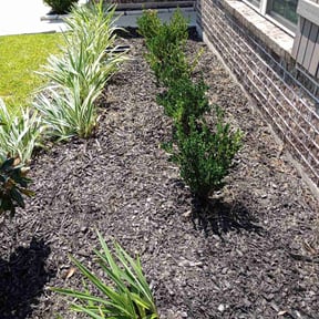 Flower Bed Weeding by Rebecca Montague reviewed on July 12, 2022