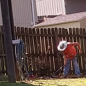 Bush Trimming by Dabbic Lawn Care LLC reviewed on May 14, 2022